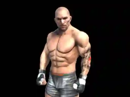 遊戲Fight Arena Online在線