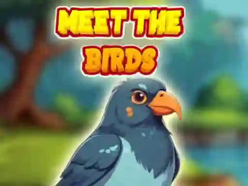 遊戲Meet The Birds在線