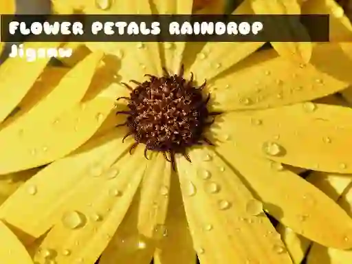 遊戲Flower Petals Raindrop Jigsaw在線