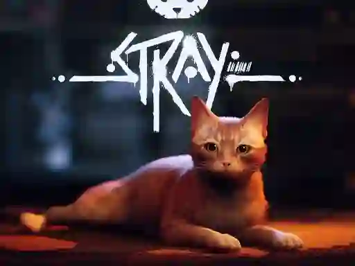 遊戲Stray在線