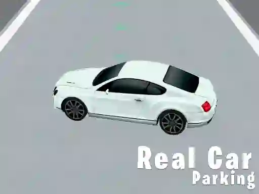 遊戲Real Car Parking在線