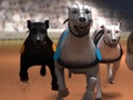 遊戲賽犬在線