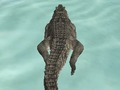 遊戲鱷魚模擬器海灘狩獵 在線