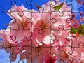 遊戲拼圖: 花在線