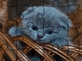遊戲拼圖：貓在線