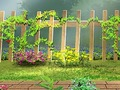 遊戲花園的秘密隱藏的信件 在線