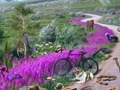 遊戲消失的蹤跡 在線