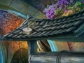 遊戲冷金 在線
