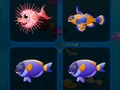 遊戲魚卡 在線
