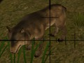 遊戲動物獵人在線