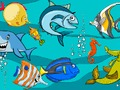 遊戲魚的區別在線