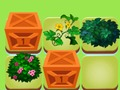 遊戲植物融合 在線