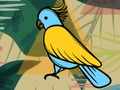 遊戲異國鳥類上色在線