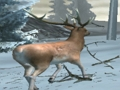 遊戲森林獵人 在線