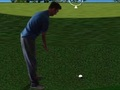 遊戲Flash Golf 3D 在線