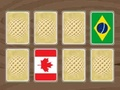遊戲世界旗幟記憶在線