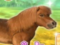 遊戲我親愛的小馬 在線