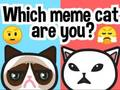 遊戲你是哪種迷因貓？在線