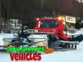 遊戲雪地美容車 在線