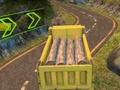遊戲歐洲卡車驅動器 在線