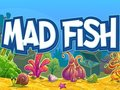遊戲瘋魚 在線