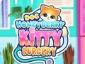 遊戲Doc HoneyBerry Kitty 手術 在線