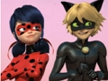 遊戲Miraculous Ladybug & Cat Noir 拼圖 在線