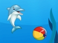 遊戲海豚表演 在線