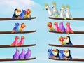 遊戲鳥類分類拼圖在線