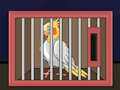遊戲釋放玄鳳鸚鵡鳥 在線