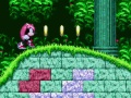 遊戲《索尼克 2》中的 Mighty 與 Ray 在線