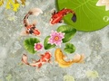 遊戲鯉魚池在線