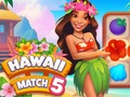 遊戲夏威夷第 5 場比賽 在線