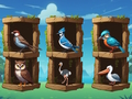 遊戲認識鳥兒 在線