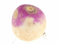 遊戲蕪菁 在線