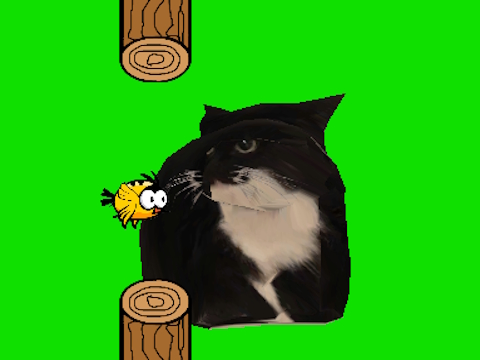 遊戲Flappy鳥旋轉OIA OIA CAT 在線