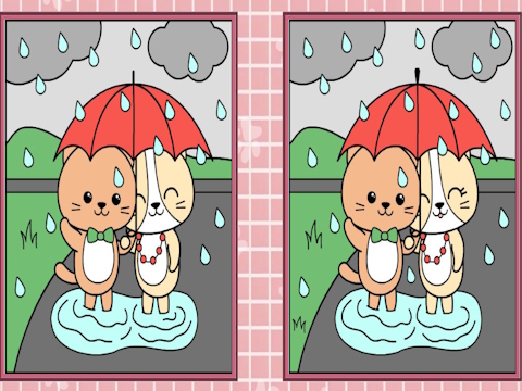 遊戲發現差異可愛的小貓 在線