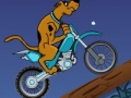 遊戲Scooby Doo Trail 在線