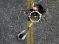 遊戲亡靈公路在線