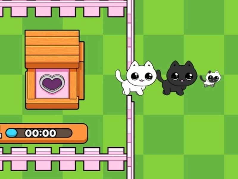 遊戲我的小貓。 Catworld在線